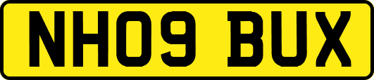 NH09BUX