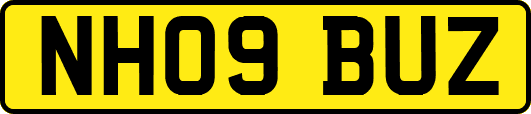 NH09BUZ