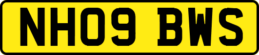 NH09BWS
