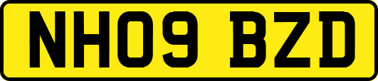 NH09BZD