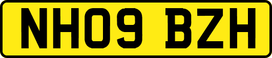 NH09BZH
