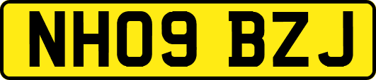 NH09BZJ