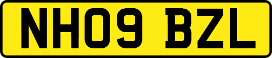 NH09BZL