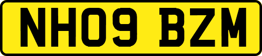 NH09BZM