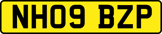 NH09BZP