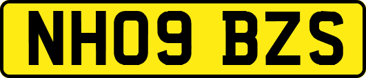 NH09BZS