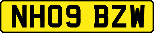 NH09BZW