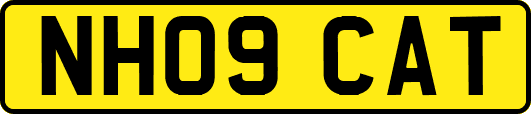 NH09CAT