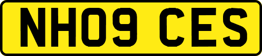 NH09CES