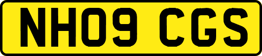 NH09CGS