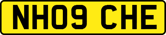 NH09CHE