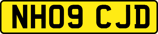 NH09CJD