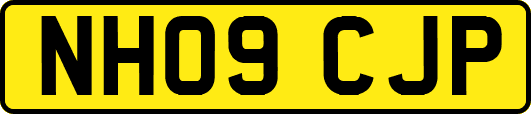 NH09CJP