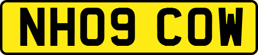NH09COW