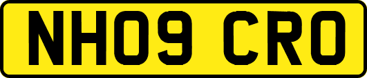 NH09CRO
