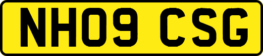 NH09CSG