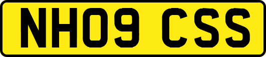 NH09CSS