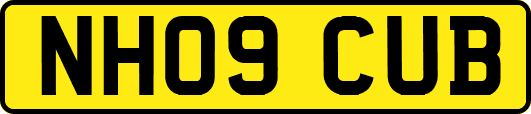 NH09CUB