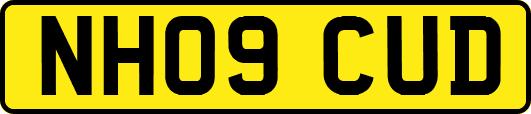 NH09CUD