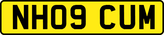 NH09CUM