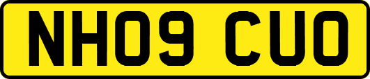 NH09CUO