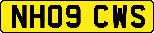 NH09CWS
