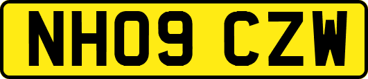 NH09CZW