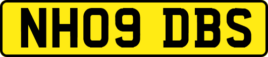 NH09DBS