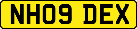 NH09DEX