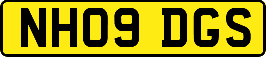 NH09DGS