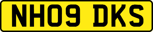 NH09DKS