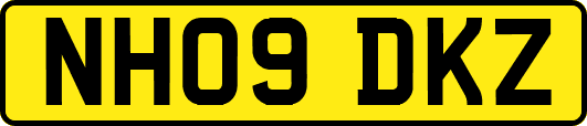 NH09DKZ