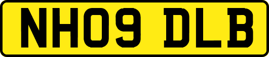 NH09DLB