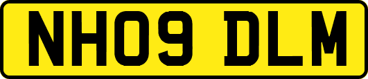 NH09DLM