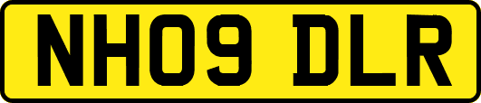 NH09DLR