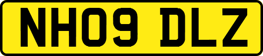 NH09DLZ