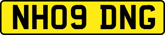 NH09DNG