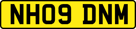 NH09DNM