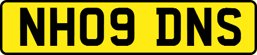 NH09DNS