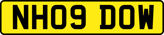 NH09DOW