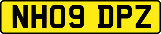 NH09DPZ