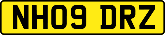 NH09DRZ