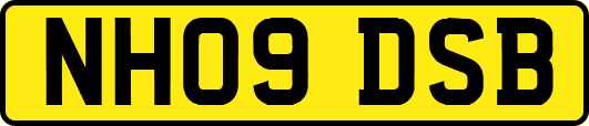 NH09DSB