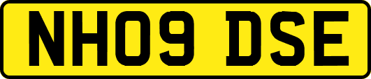 NH09DSE