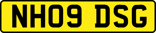NH09DSG