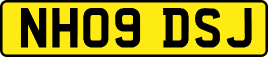 NH09DSJ