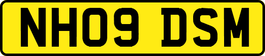 NH09DSM
