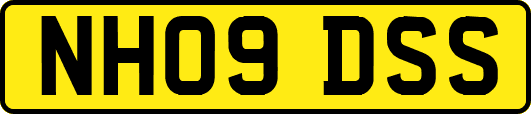 NH09DSS