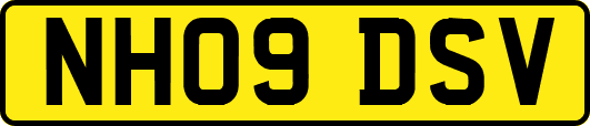 NH09DSV