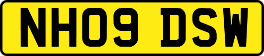 NH09DSW